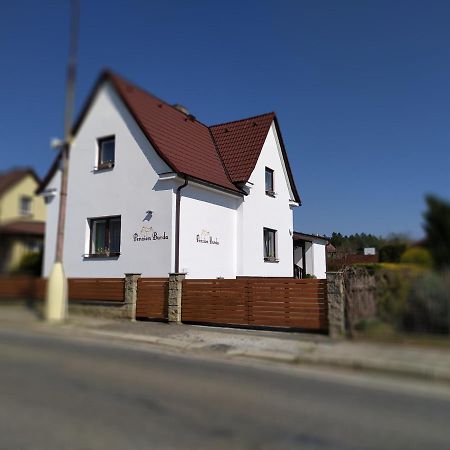 Penzion Burda Sepekov Exteriör bild